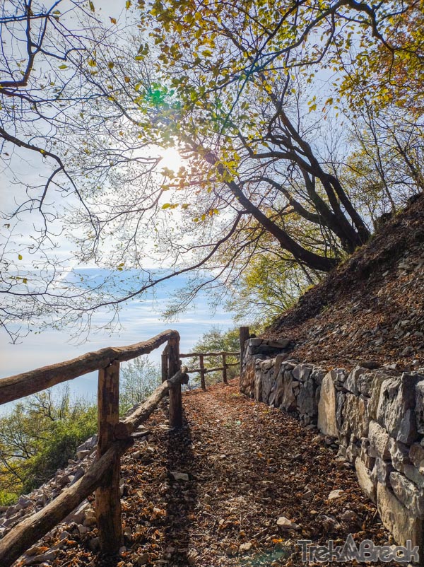 Monte Orsa (23).jpg